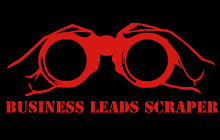 Business Leads Scraper small promo image