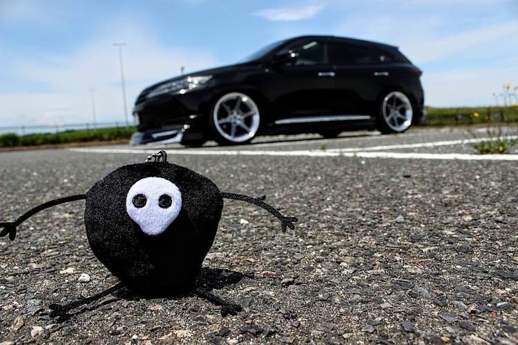 ハリアーの６月もよろしくお願いします・斜め前・ドライブ・オフ会・６月も宜しくお願いしますに関するカスタム事例の投稿画像4枚目