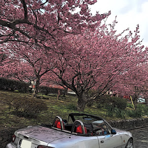 ロードスター NA6CE