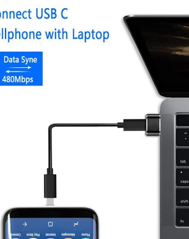 Adaptateur OTG Type-C vers USB 2.0 - 1