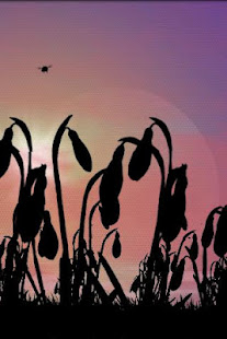Snowdrops Free(圖2)-速報App