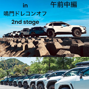 RAV4 AXAH54