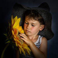 The boy and the sunflower di 