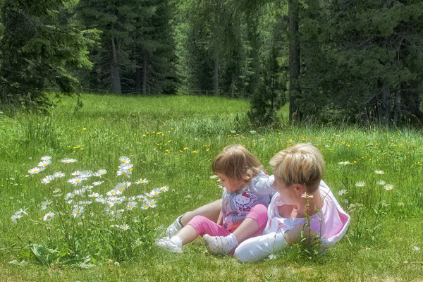 Sogno di mamma di si