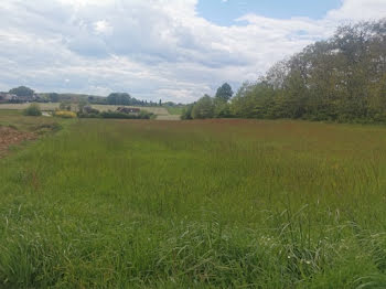 terrain à Saint-Antoine-du-Rocher (37)