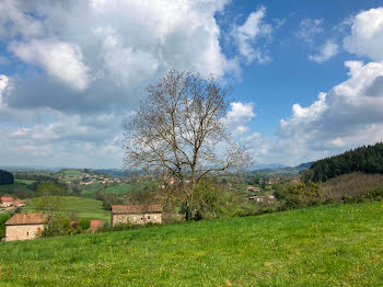 terrain à Ecoche (42)