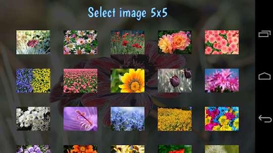 Tile Puzzles · Flowers(圖1)-速報App