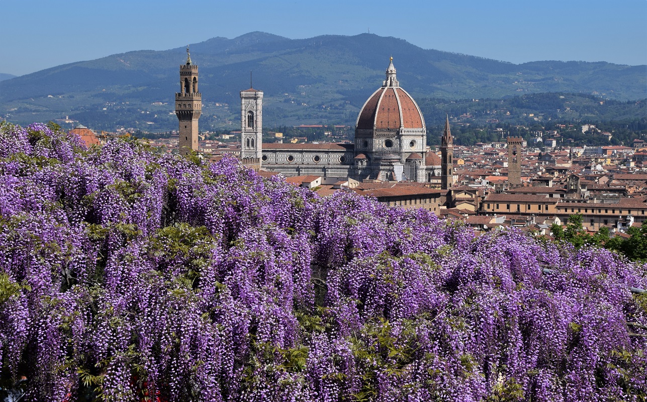 Primavera fiorentina di pizzicastelle