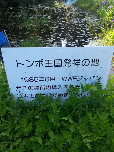 トンボ王国発祥の地