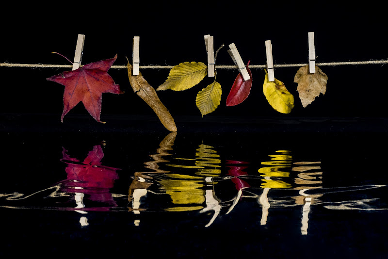 Foliage autunnale di carcat