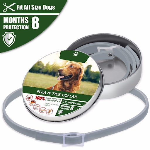 Title 1, Dog Collar Flea and Mosquito Repellent Protect ...