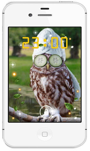 Funny Owls HD live wallpaper