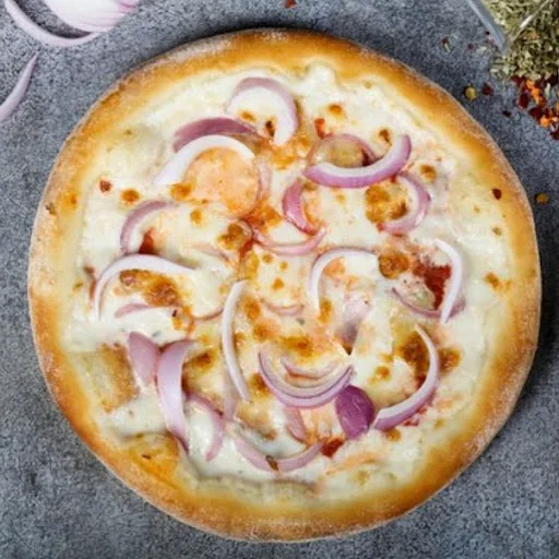 Onion And Cheese Pizza