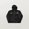 the north face x kaws retro 1986 mountain jacket