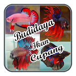 Cover Image of ダウンロード Budidaya Ikan Cupang Terbaru 1.0 APK