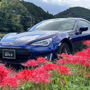 BRZ ZC6