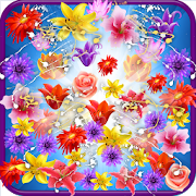 Flower Shooter  Icon