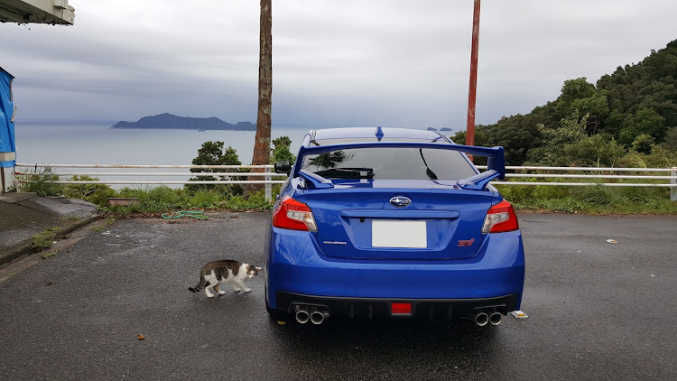 WRX STIのドライブ・阿波サンライン・猫・餌やりに関するカスタム事例の投稿画像1枚目