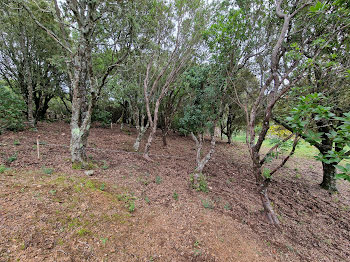 terrain à Foce (2A)