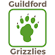 Download Guildford LC 2 Go For PC Windows and Mac 2.3.13