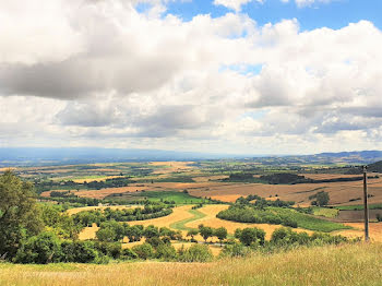 terrain à Fanjeaux (11)