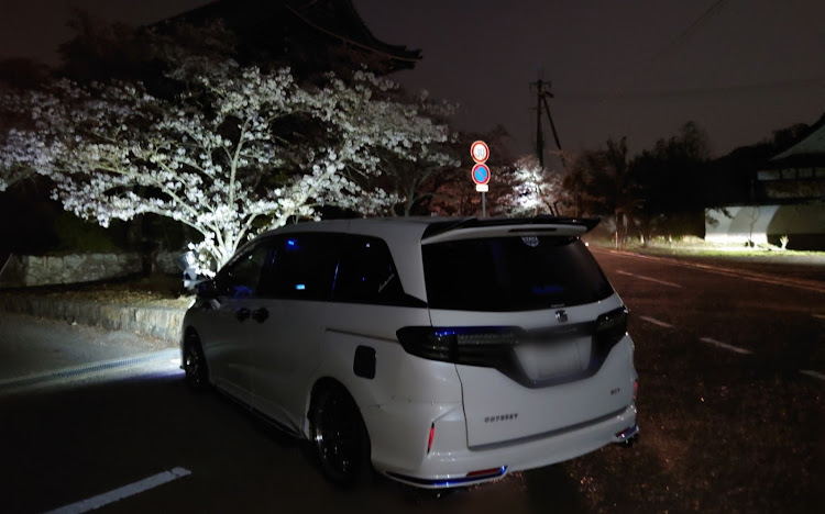 オデッセイの桜と愛車・ドライブに関するカスタム事例の投稿画像3枚目