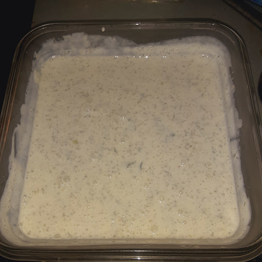 Tzatziki sauce prepared and in a food storage container, ready to serve 