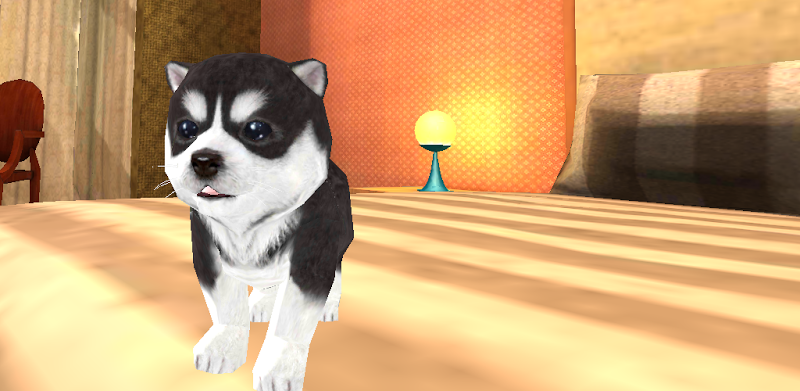 Hund Hündchen Simulator 3D