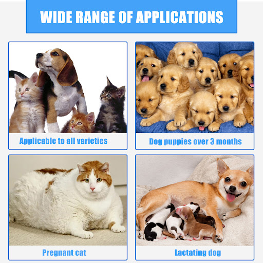 Title 5, Pet Wound Care Spray Relieves Dogs And Cats Ski...