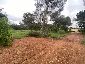 terrain à Le Cannet-des-Maures (83)