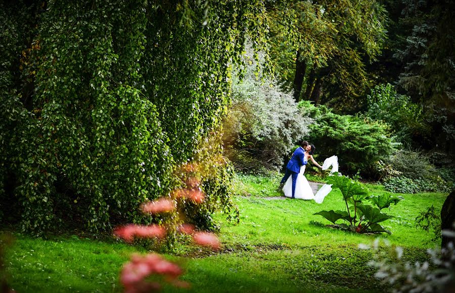 Fotógrafo de casamento Magdalena Korzeń (korze). Foto de 12 de março 2015