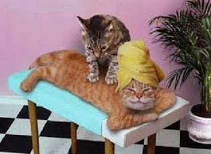 Very Funny Pictures Screenshots 0