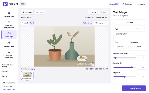 PicFleet — Batch Image Converter screenshot 3