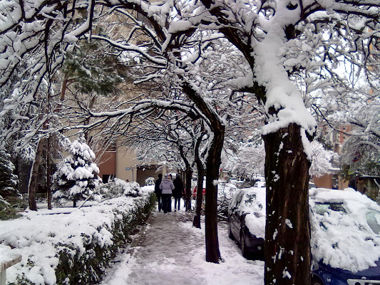 paesaggio inusuale in Roma di pluto0762