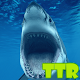 Download sharks live wallpapers For PC Windows and Mac 1.00