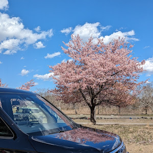 ステップワゴンスパーダ