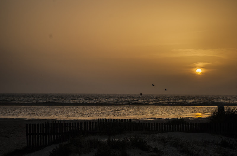 Tarifa di Ilaria_tuccio_photo