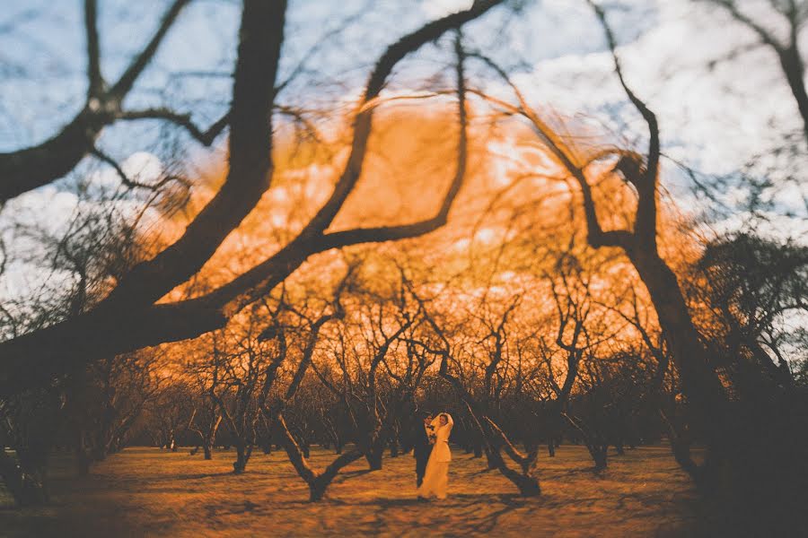 Весільний фотограф Ольга Пилант (olpi). Фотографія від 23 травня 2015