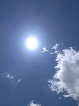 みんなで水族館！