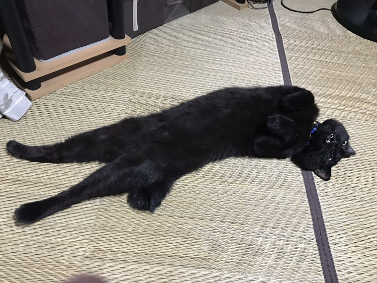 IS FのOPPが止まらない💦さんが投稿したカスタム事例の投稿画像2枚目
