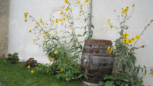 Récupérateur d'eau de pluie