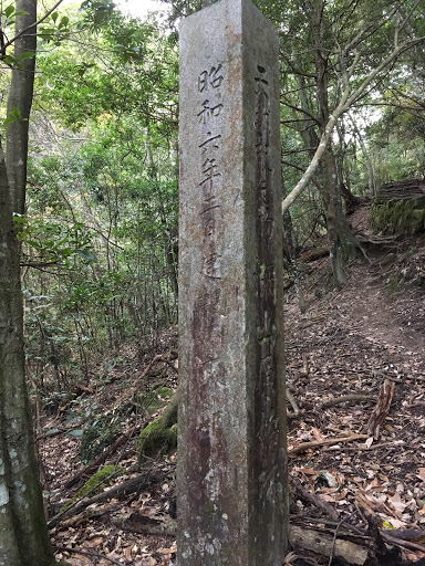 天然記念物 彌山原始林