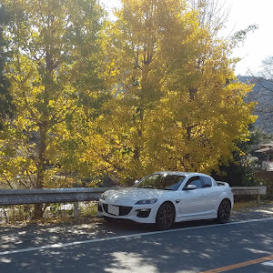 RX-8 SE3P