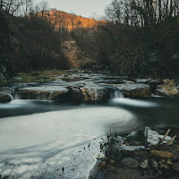 Bosco Magico di PauloSilva