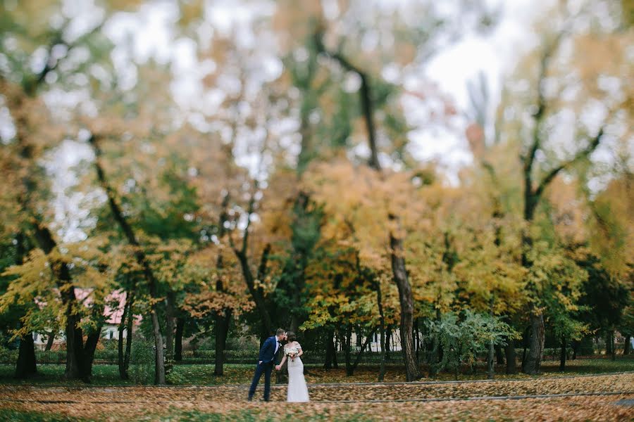 結婚式の写真家Vera Scherbakova (vera007)。2016 12月30日の写真