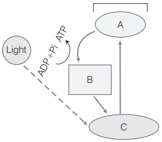 Electron transport