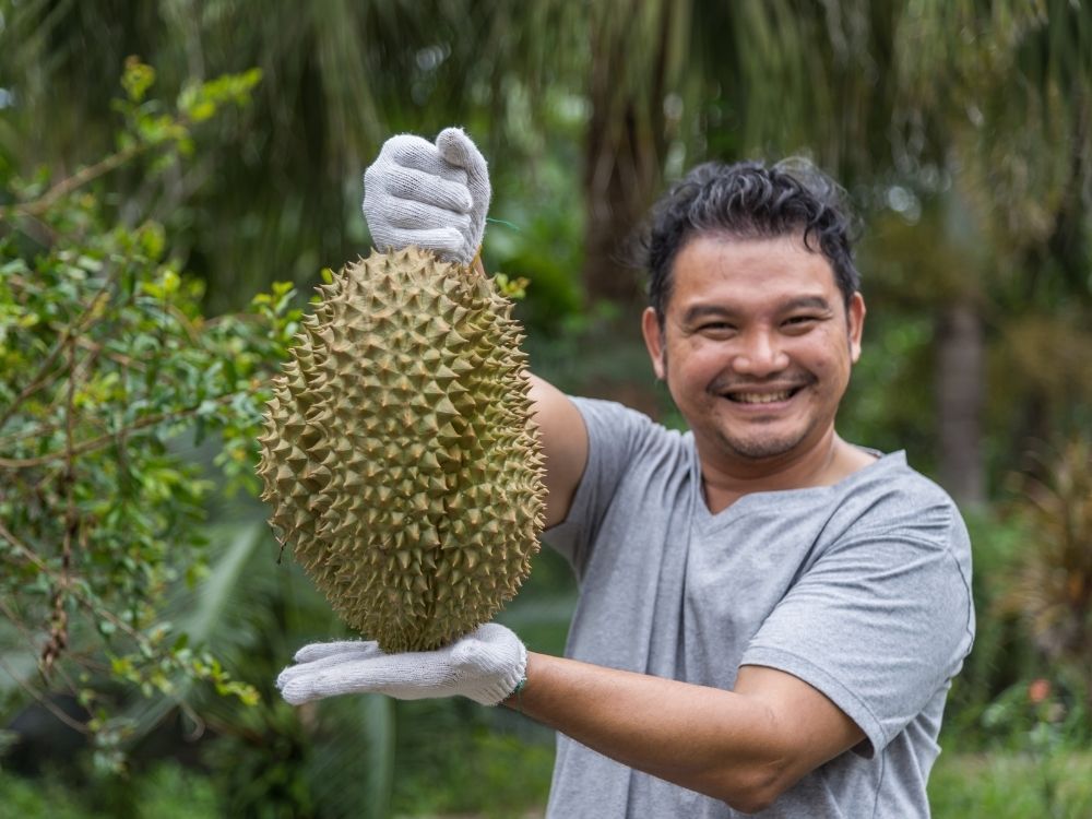 Nasib Pasar Buah Widodaren Kini