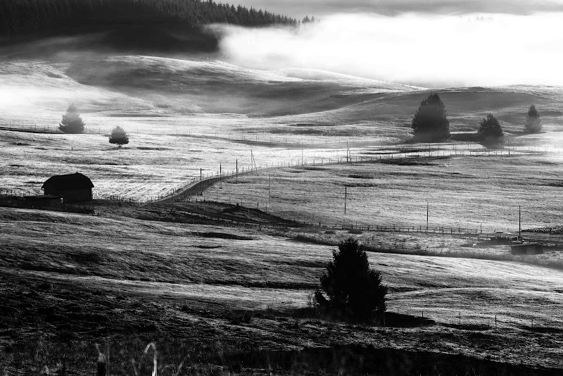 Colline di velluto di MicheleFaggian