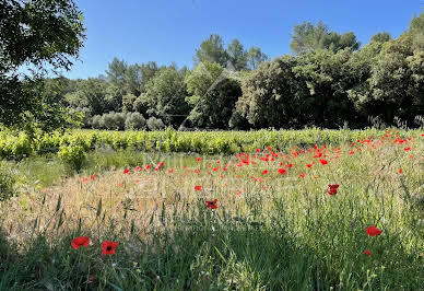 Vineyard with pool 4