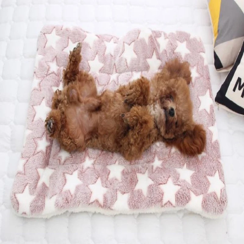 Cama de invierno para mascotas